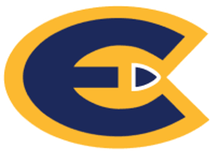 Bluegoldlogo.png